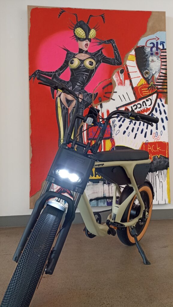 Elektro-Fatbike Coopop SG im LENKWERK Bielefeld